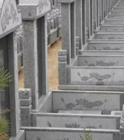 泉州祖坟墓地出现这种现象，大事不妙，千万要注意了！